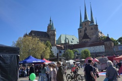 IMG-20260501-WA0034
