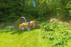 IMG-20250628-WA0005