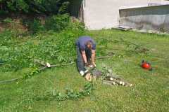 IMG-20250628-WA0010