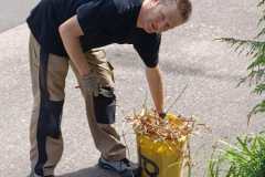 IMG-20250628-WA0014