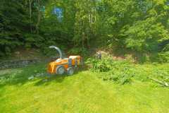 IMG-20250628-WA0015