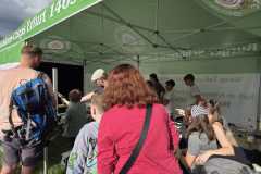 IMG-20260912-WA0036