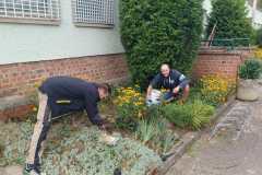 IMG-20260912-WA0012