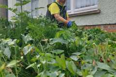 IMG-20260912-WA0020