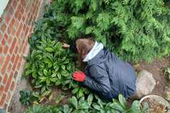 IMG-20260912-WA0024