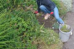 IMG-20260613-WA0017